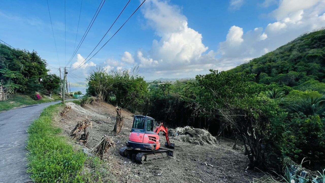 terrain  pièces 2597 m2 à vendre à La Trinité (97220)