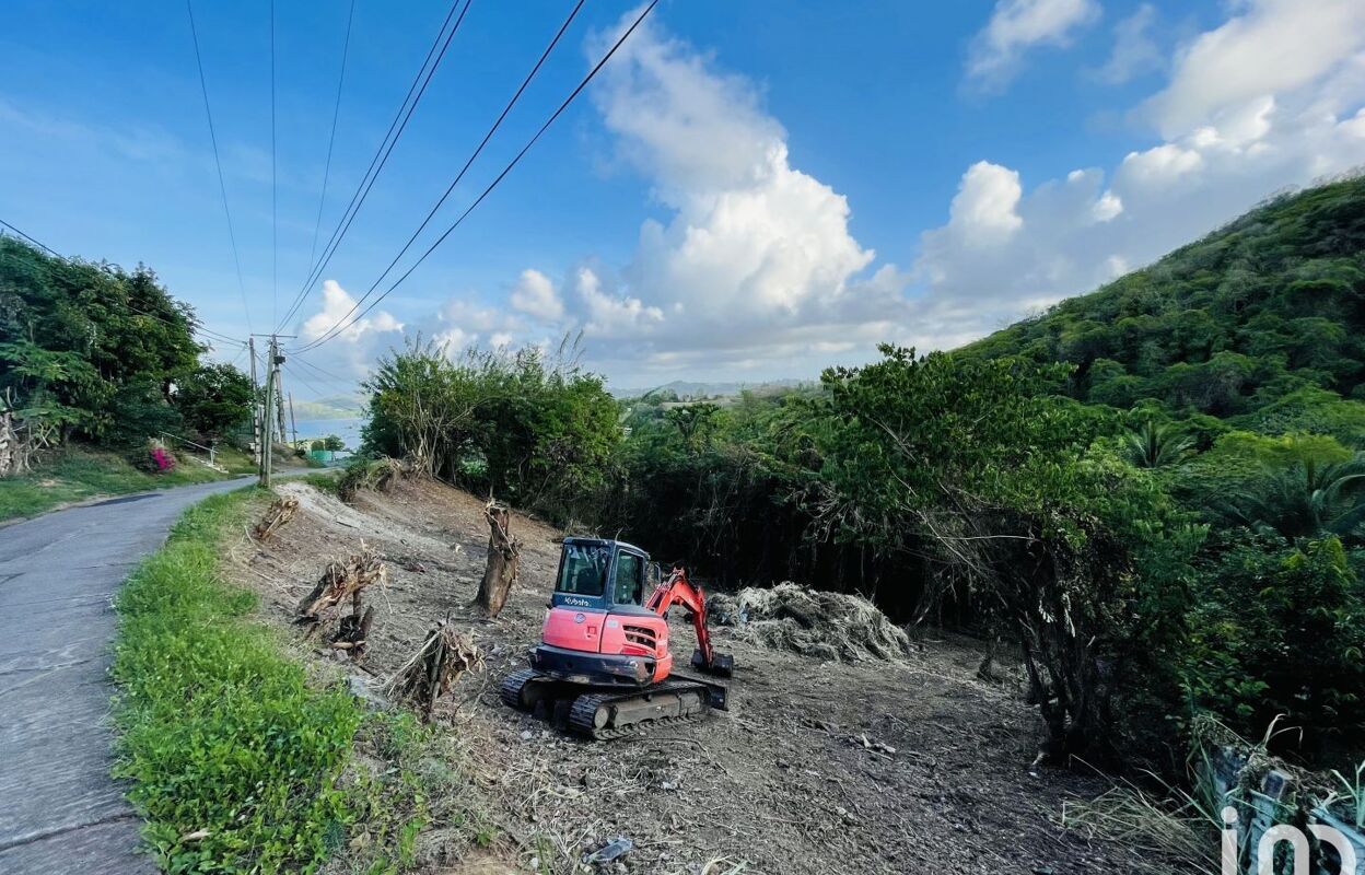 terrain  pièces 2597 m2 à vendre à La Trinité (97220)