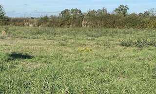 Terrain  659 m² à vendre à Bressols (82710)