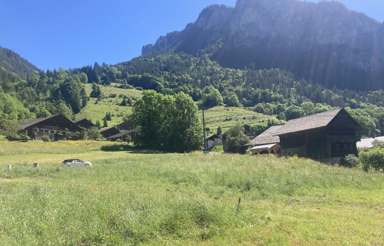 terrain  pièces 1150 m2 à vendre à Abondance (74360)