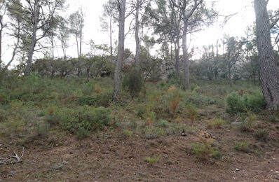 terrain  pièces 6500 m2 à vendre à Aix-en-Provence (13090)