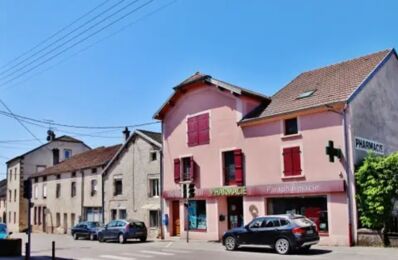vente immeuble 365 000 € à proximité de Le Val-d'Ajol (88340)
