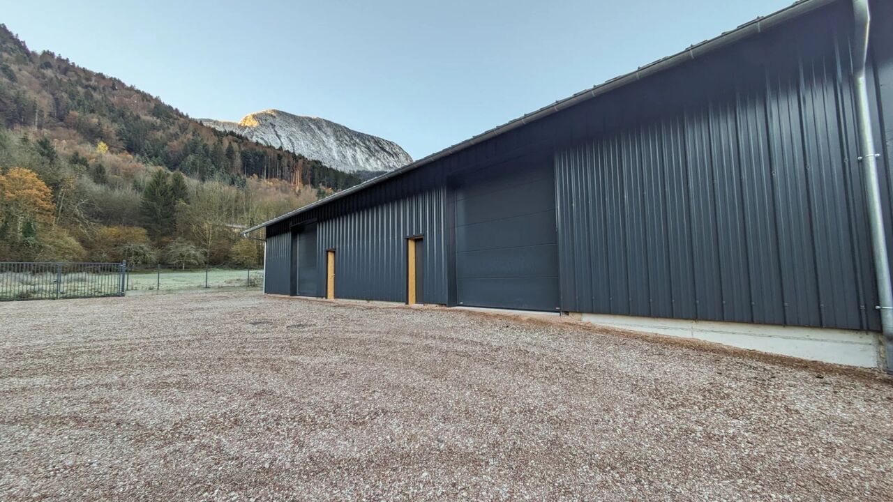 commerce 1 pièces 120 m2 à louer à Scionzier (74950)