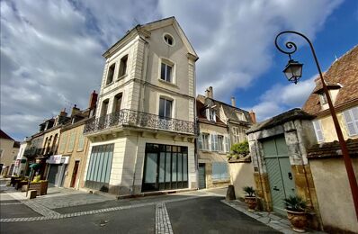 vente immeuble 118 800 € à proximité de Montgivray (36400)