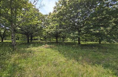 terrain  pièces 12130 m2 à vendre à Saint-Yrieix-la-Perche (87500)