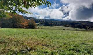 Terrain  2964 m² à vendre à Palazinges (19190)