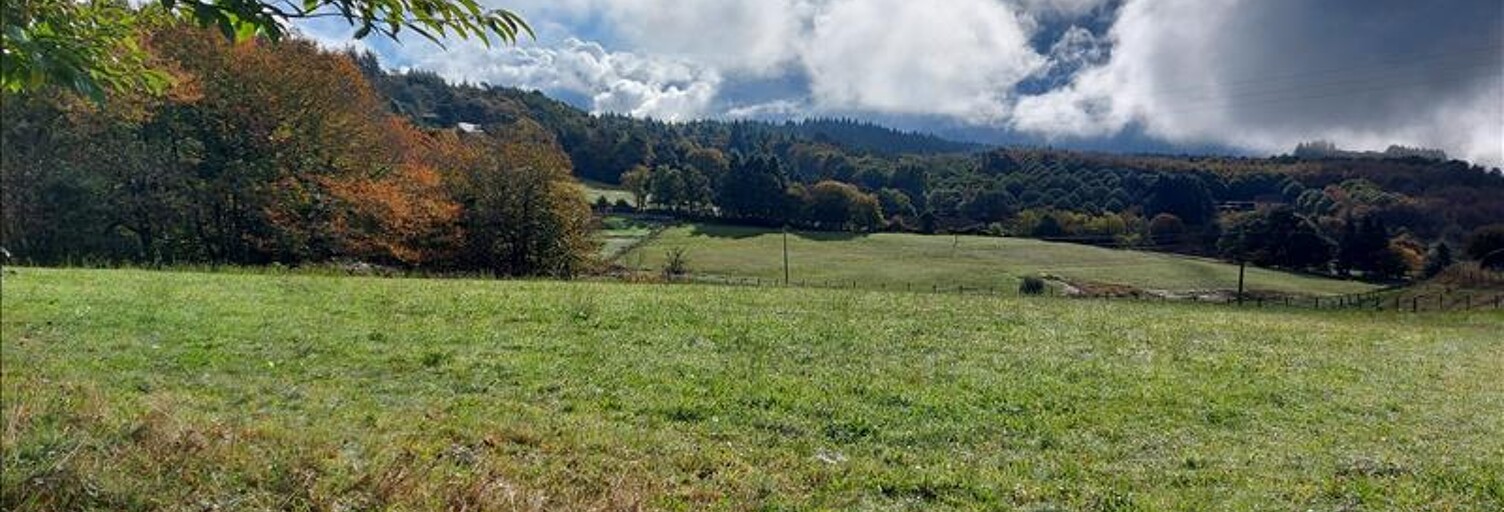 Terrain  2964 m² à vendre à Palazinges (19190)