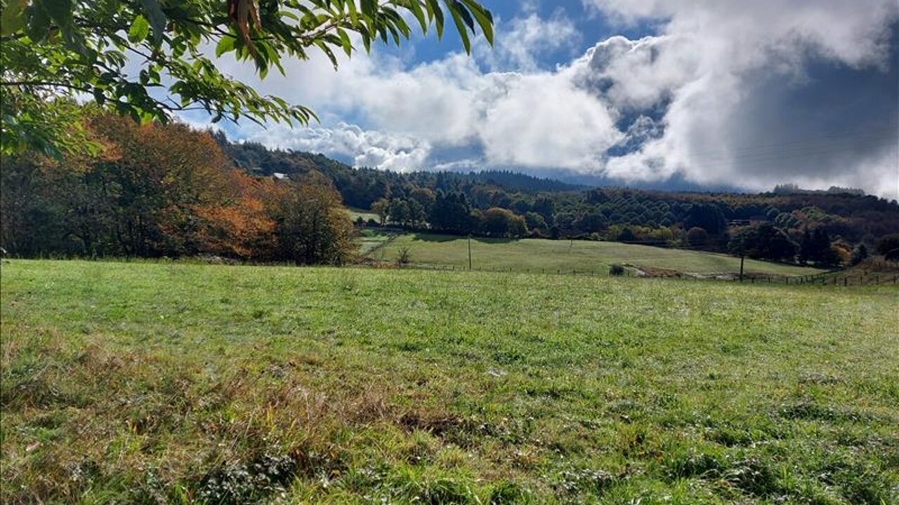 terrain  pièces 2964 m2 à vendre à Palazinges (19190)