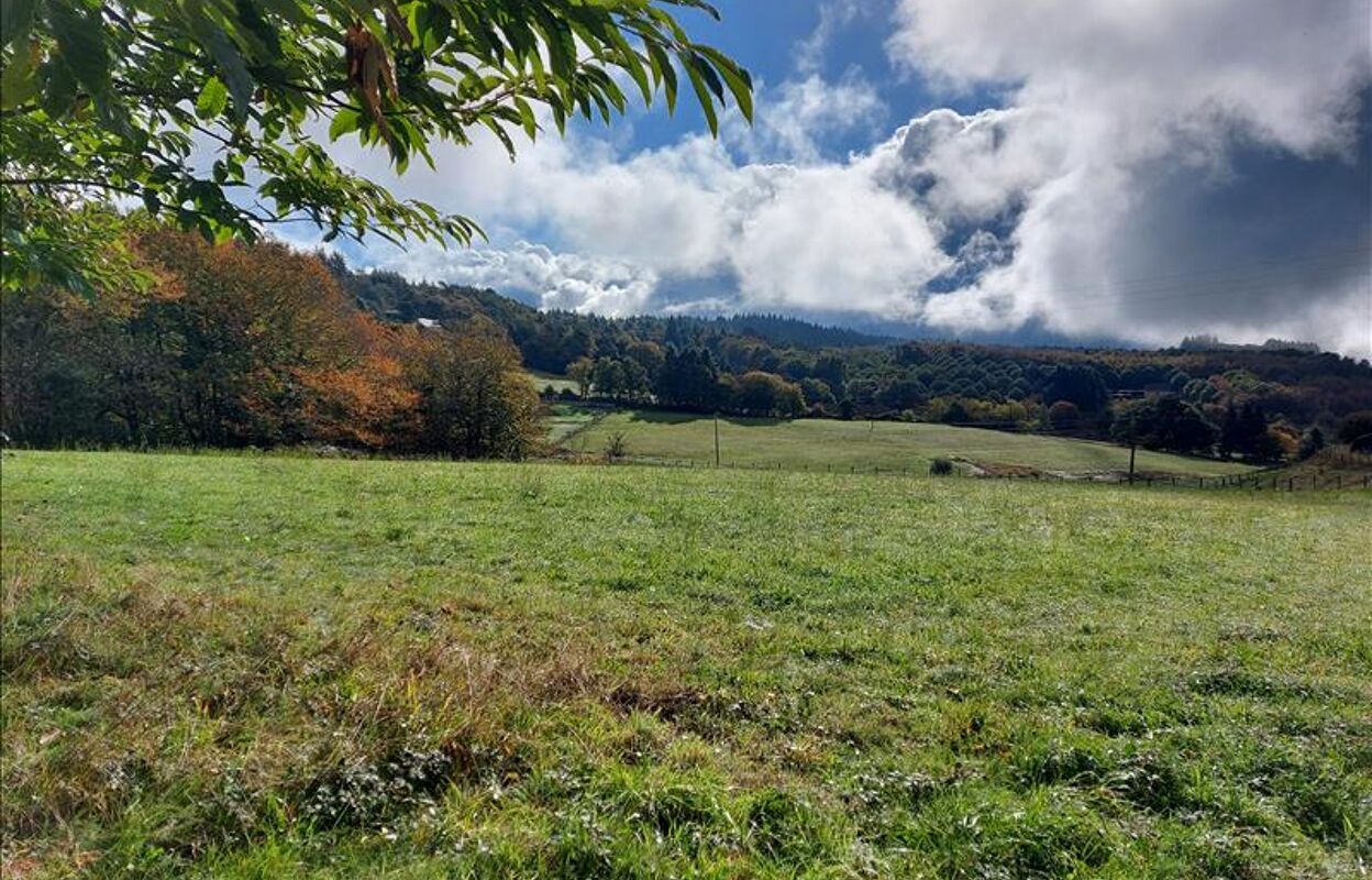 terrain  pièces 2964 m2 à vendre à Palazinges (19190)