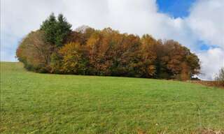 Terrain  1611 m² à vendre à Palazinges (19190)