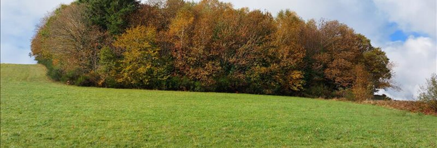 Terrain  1611 m² à vendre à Palazinges (19190)