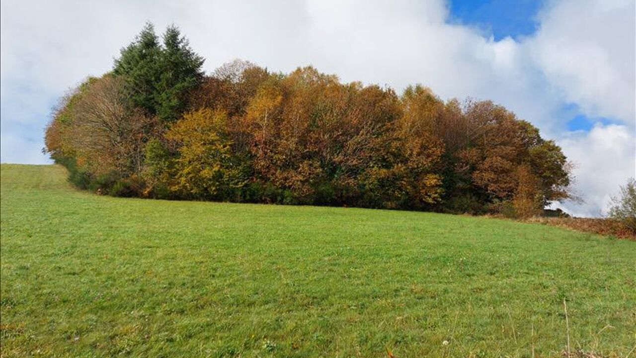 terrain  pièces 1611 m2 à vendre à Palazinges (19190)