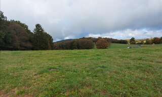 Terrain  2600 m² à vendre à Palazinges (19190)