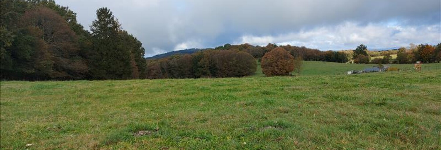 Terrain  2600 m² à vendre à Palazinges (19190)