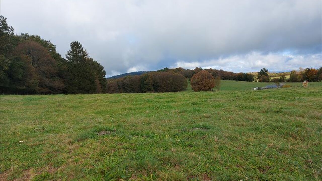 terrain  pièces 2600 m2 à vendre à Palazinges (19190)