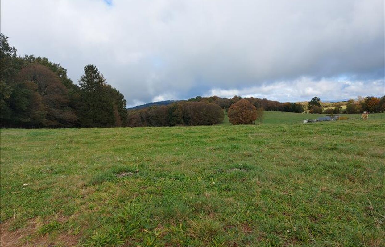 terrain  pièces 2600 m2 à vendre à Palazinges (19190)