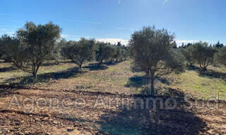 Terrain  7500 m² à vendre à Aureille (13930)