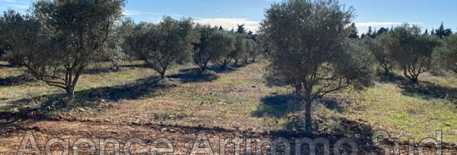 Terrain  7500 m² à vendre à Aureille (13930)