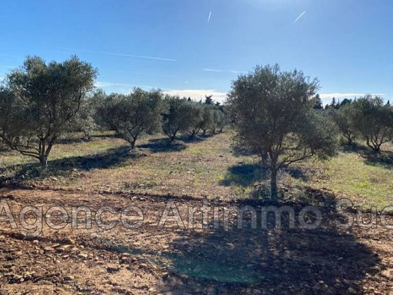vente terrain — photo 1