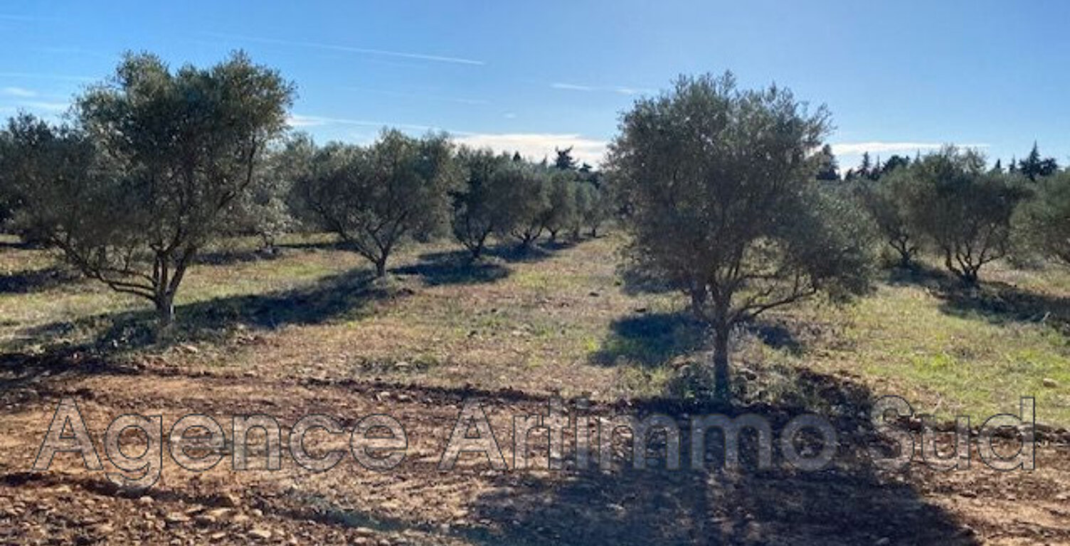 vente terrain — photo 1