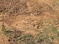 vente terrain — photo 2