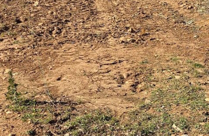 vente terrain — photo 2