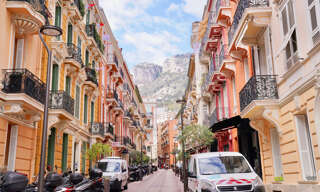 Commerce  100 m² à vendre à Colmar (68000)