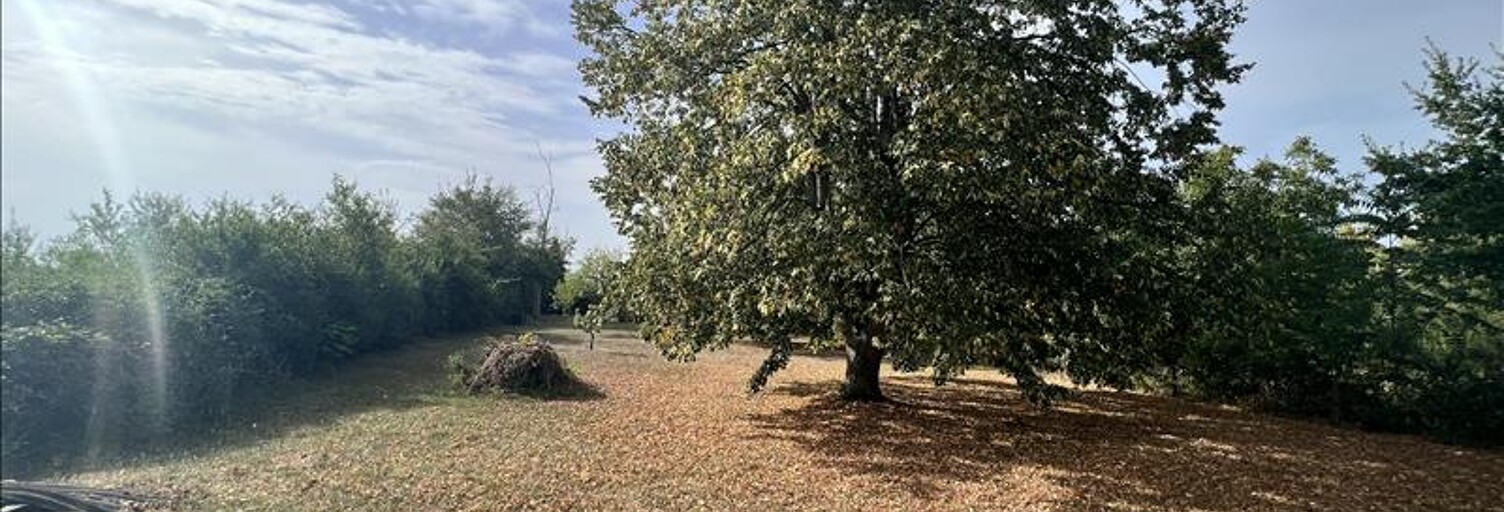 Terrain  2230 m² à vendre à Saint-Baudel (18160)