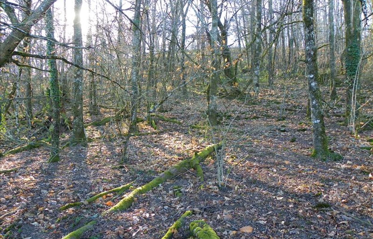 terrain  pièces 3460 m2 à vendre à Curemonte (19500)