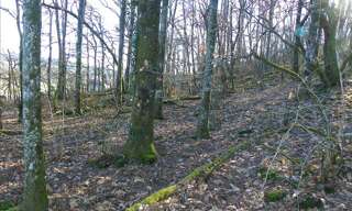 Terrain  3460 m² à vendre à Curemonte (19500)