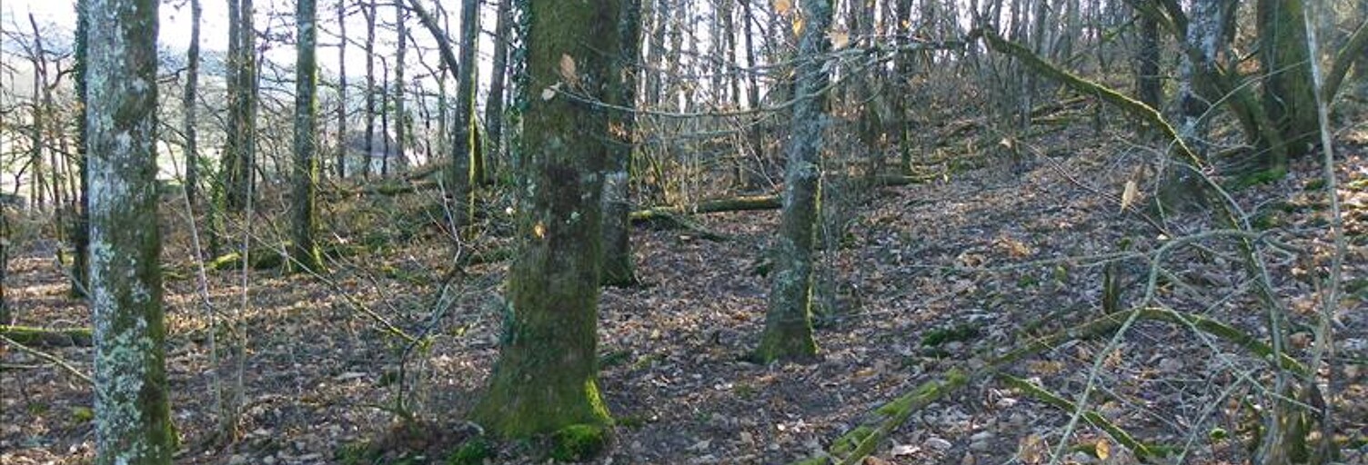 Terrain  3460 m² à vendre à Curemonte (19500)