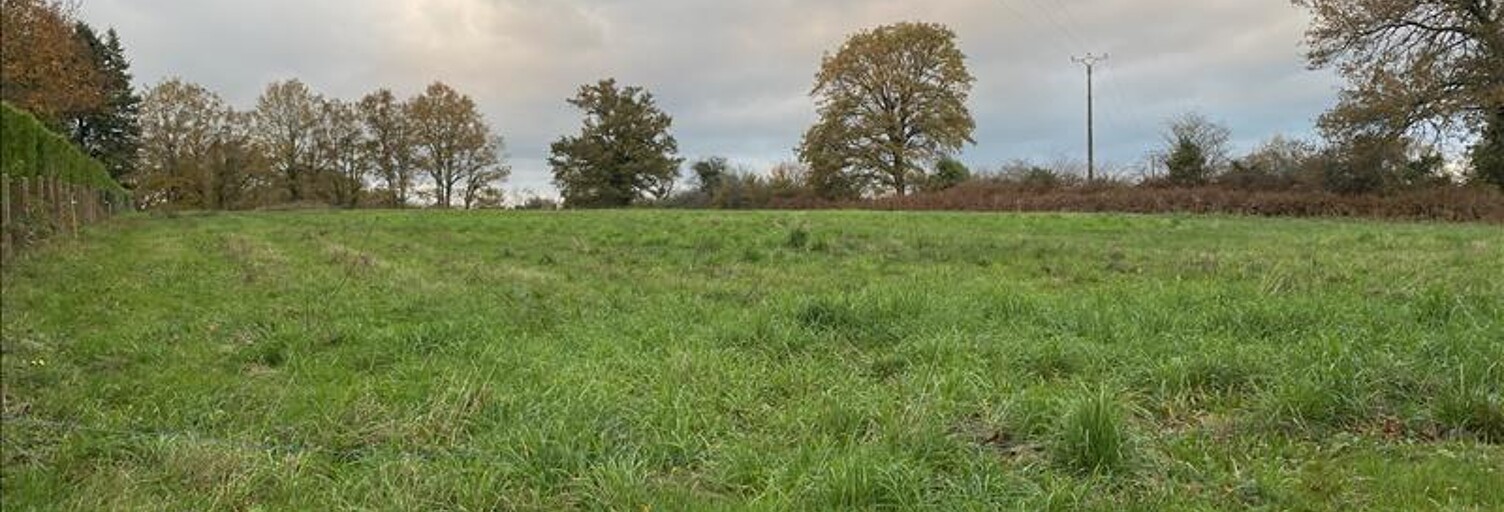 Terrain  9440 m² à vendre à Saint-Junien (87200)