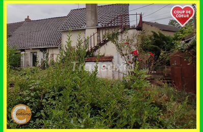 vente maison 65 500 € à proximité de Châtillon (03210)