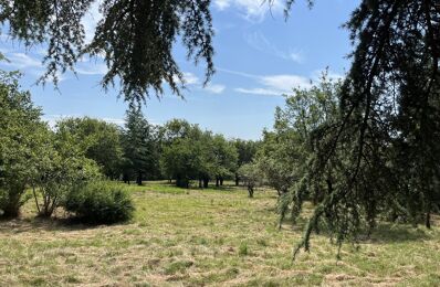 vente terrain 49 800 € à proximité de Lendou-en-Quercy (46800)