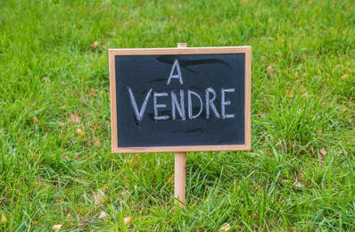 grand terrain, avec deux entrées, divisible — photo du bien