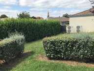 T2 - 44m ² — photo 3