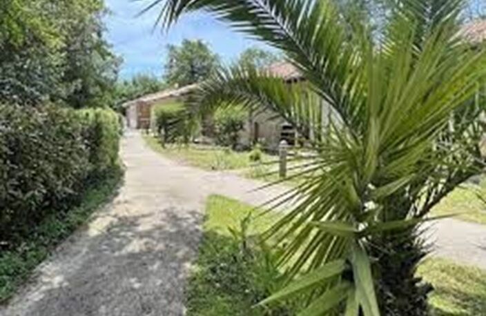 T2 - 49m ² — photo 2