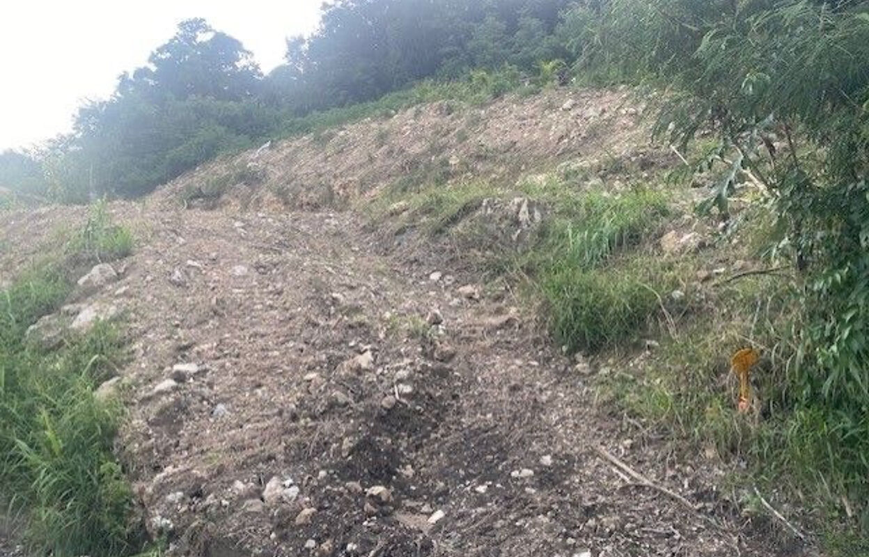 terrain  pièces 600 m2 à vendre à Sainte-Anne (97227)