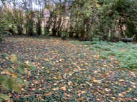 MAISON DE CAMPAGNE — photo 3