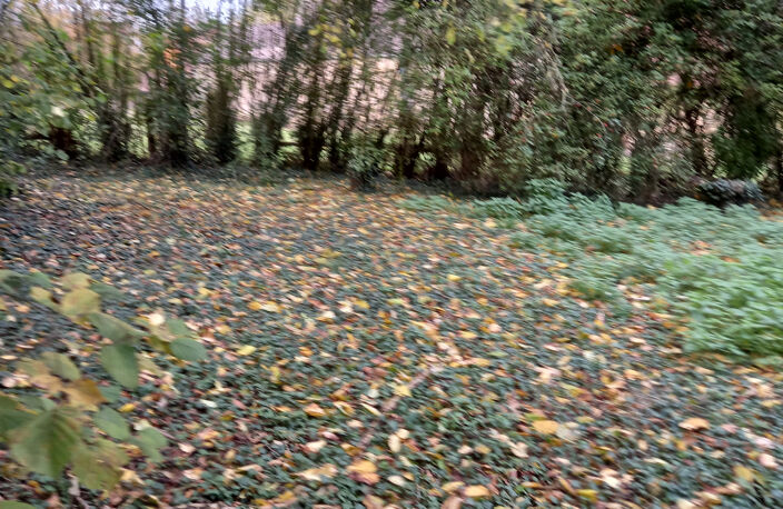 MAISON DE CAMPAGNE — photo 3