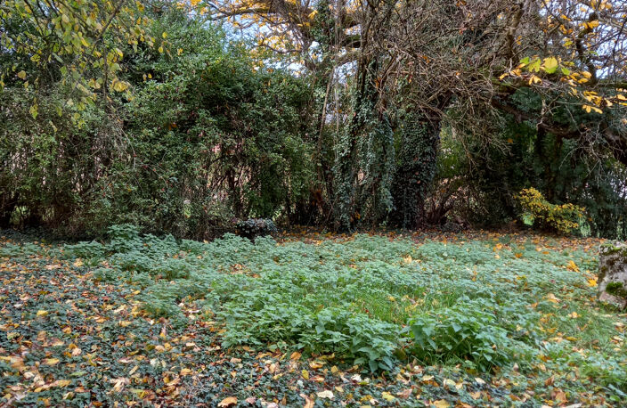 MAISON DE CAMPAGNE — photo 4