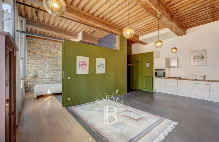 Lyon 1er - LES PENTES - Appartement/loft - 69,59m² - 2 chambres — photo 4