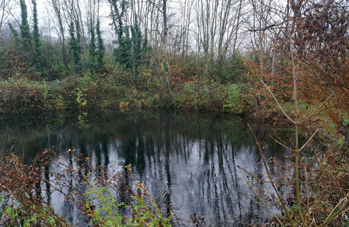 Terrain BLIGNY-SUR-OUCHE — photo 2