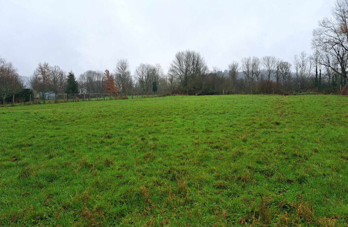 Terrain BLIGNY-SUR-OUCHE — photo 3