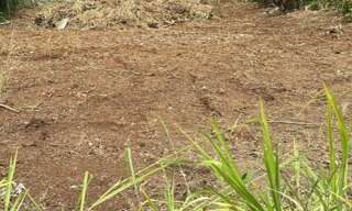 Terrain  1490 m² à vendre à Ducos (97224)