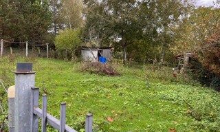 Photo N° 6