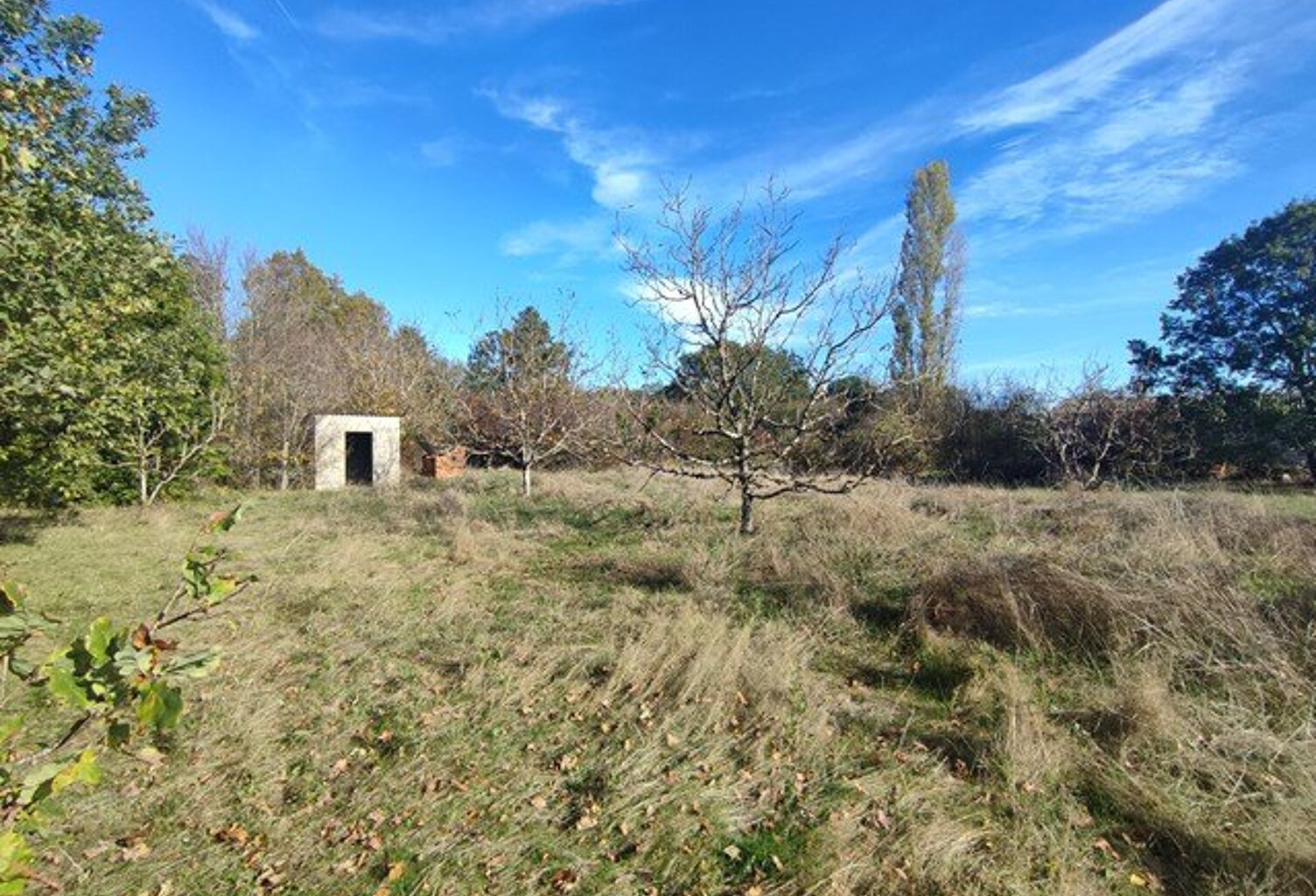 MONCLAR DE QUERCY — photo 1