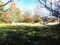 MONCLAR DE QUERCY — photo 2