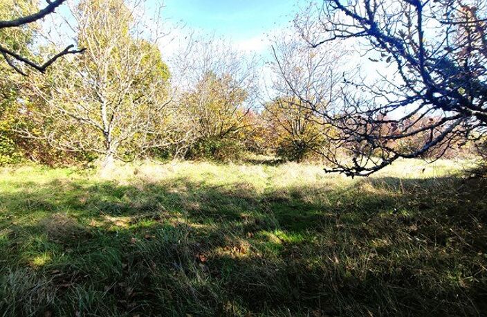 MONCLAR DE QUERCY — photo 2
