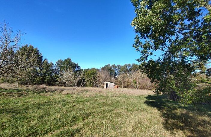 MONCLAR DE QUERCY — photo 3